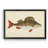 " Donovan Antique Fish I "-2009192433-2009192435