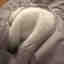 Photos des clients 1 de 1