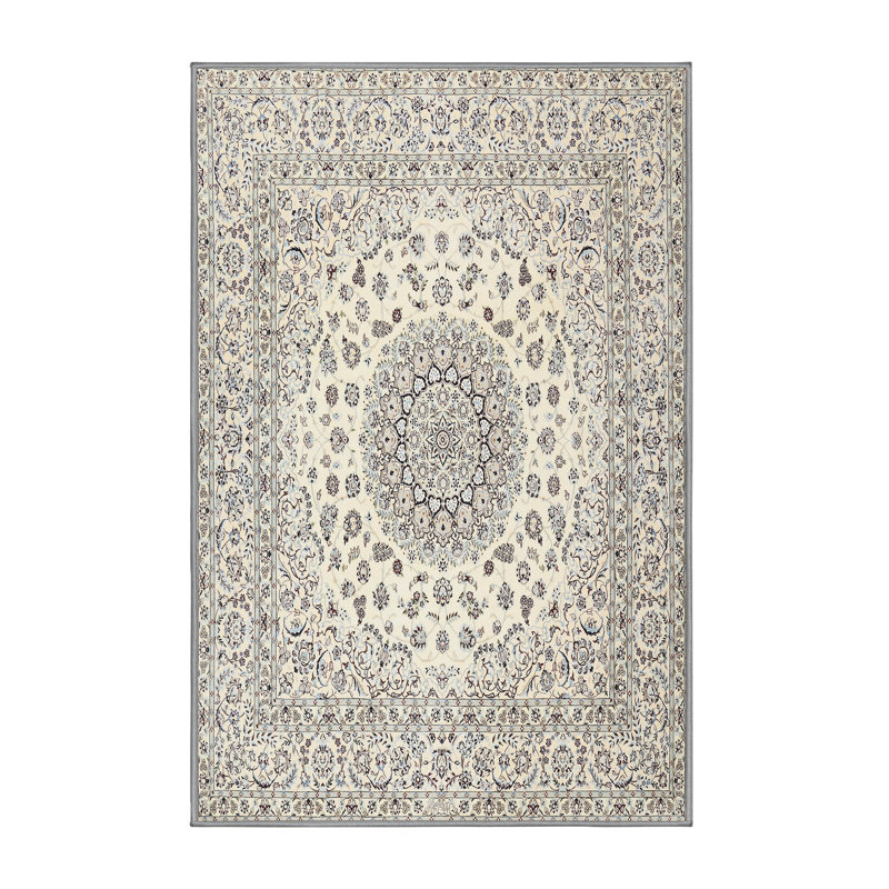 Shakir Oriental Indoor Rug, Rectangle 5' x 7'