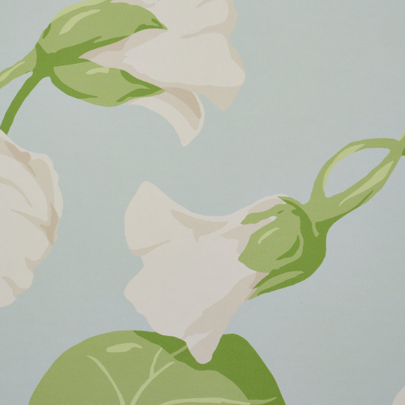 Papier peint capucine, Ciel