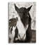«Pale Eyed Stallion» par Traer Scott-367858471