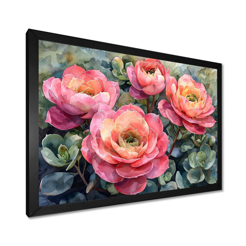 «Echeveria Elegans Succulent Mexico Bloomscape I», reproductions encadrées, Reproduction d'une seule photo avec cadre, Noir