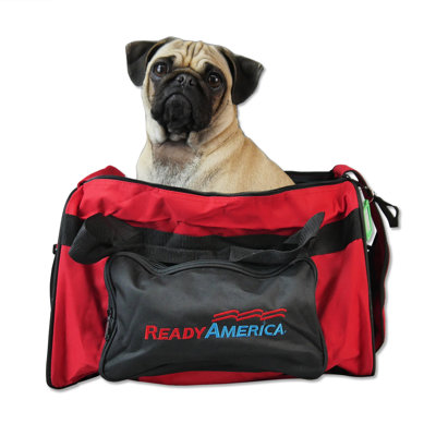 Small Dog Carrier Kit