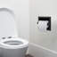 Diallo Recessed Toilet Paper Holder-1392504842
