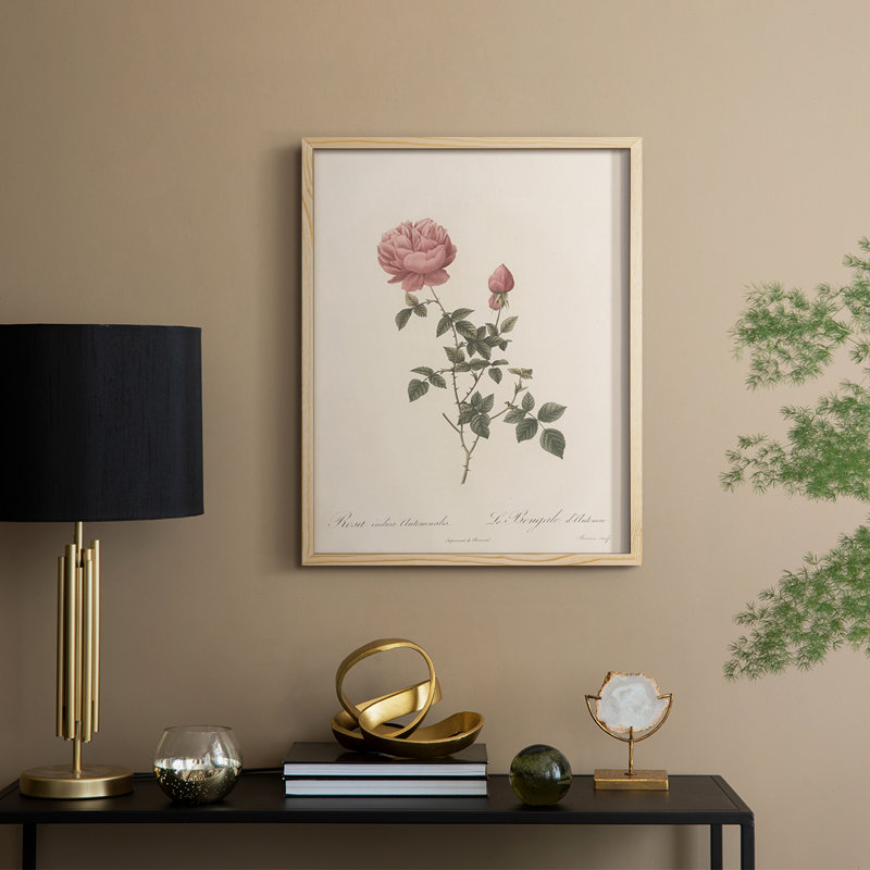 Impression florale vintage encadrée CXL III - bois massif, Naturel, H 30 po x l 24 po