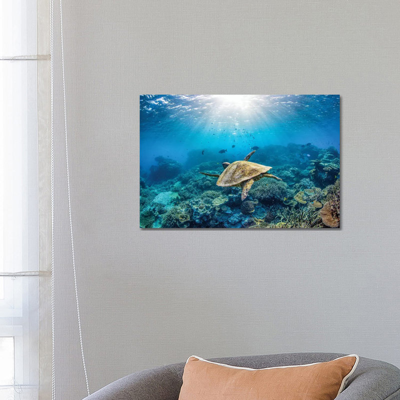 Reef Glider par Jordan Robins - reproduction d'art, Pas de tapis, Toile tendue, H 18 po x l 26 po x P 1,5 po