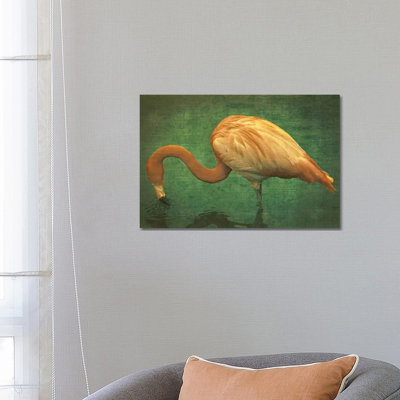 Caribbean Flamingo - Wrapped Canvas Print