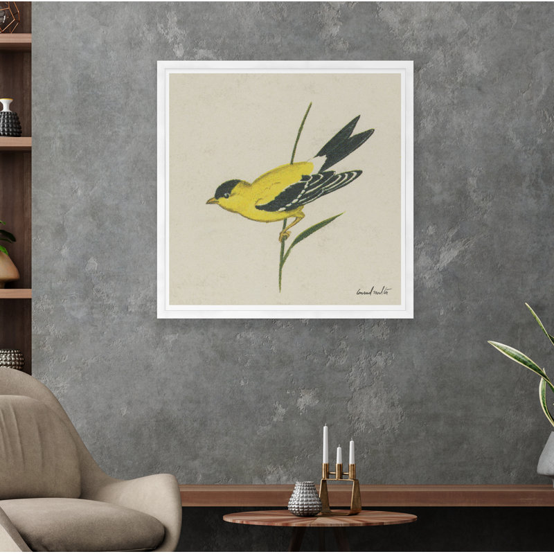 Moulton Collection " Goldfinch ", White