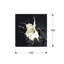 Spash - No Frame Print on Glass