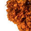 Natural Botanicals 15" Hydrangea with Multiple Branch Segments, Preserved-616070906