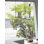 Brevis Linear LED Pendant