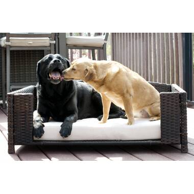 Tucker Murphy Pet™ Beneccio Rattan Bed Raised Wicker Small Animal