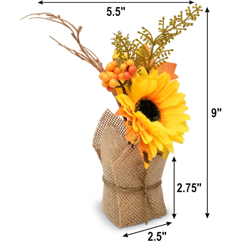 10 plantes