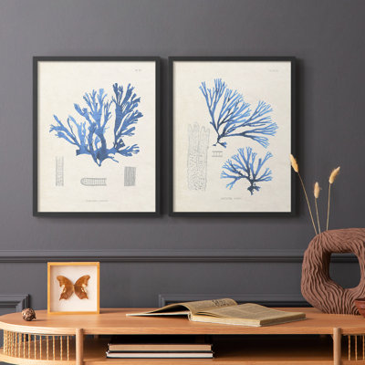 Algue bleue bleue - reproduction encadrée de qualité supérieure - prête à être accrochée - aucun clou requis - aucun clou requis