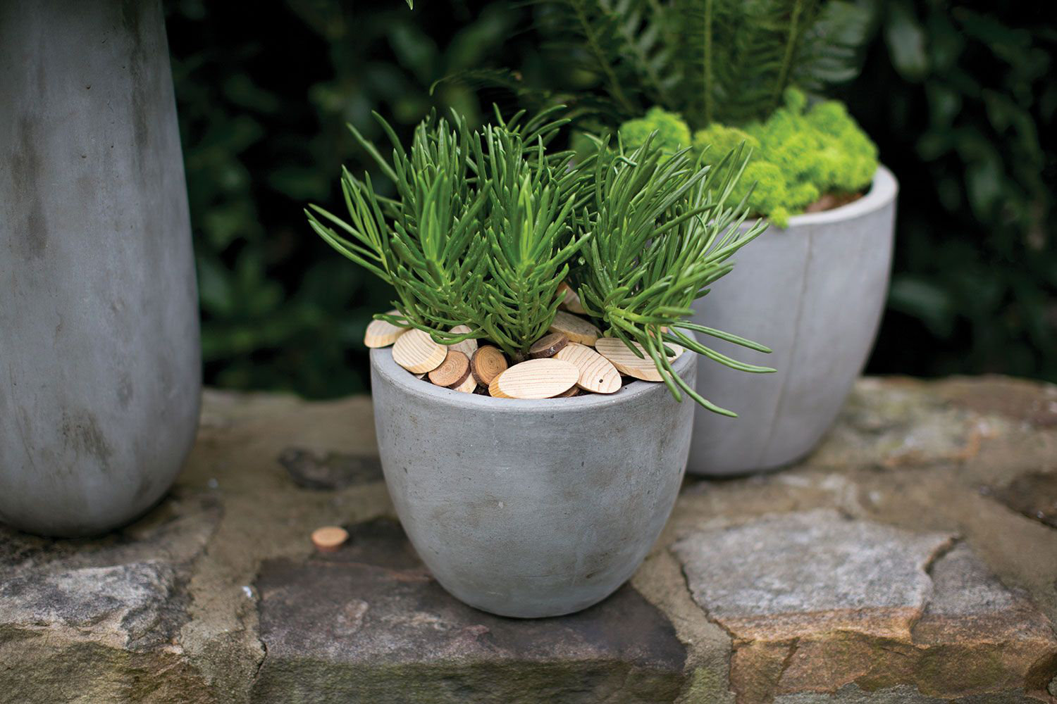 Trixie Pot Planter, 5.5" H x 6.5" W x 6.5" D