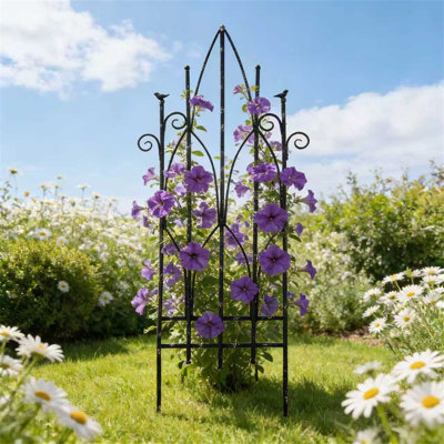 Clôture de jardin en fer 19,69 po x 67,72 po Sungmor