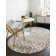 Glam Gray/Gold Area Rug