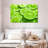 Yarlin Lime Slices-108730365