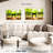 Alcaraz Forest Vision-108007141