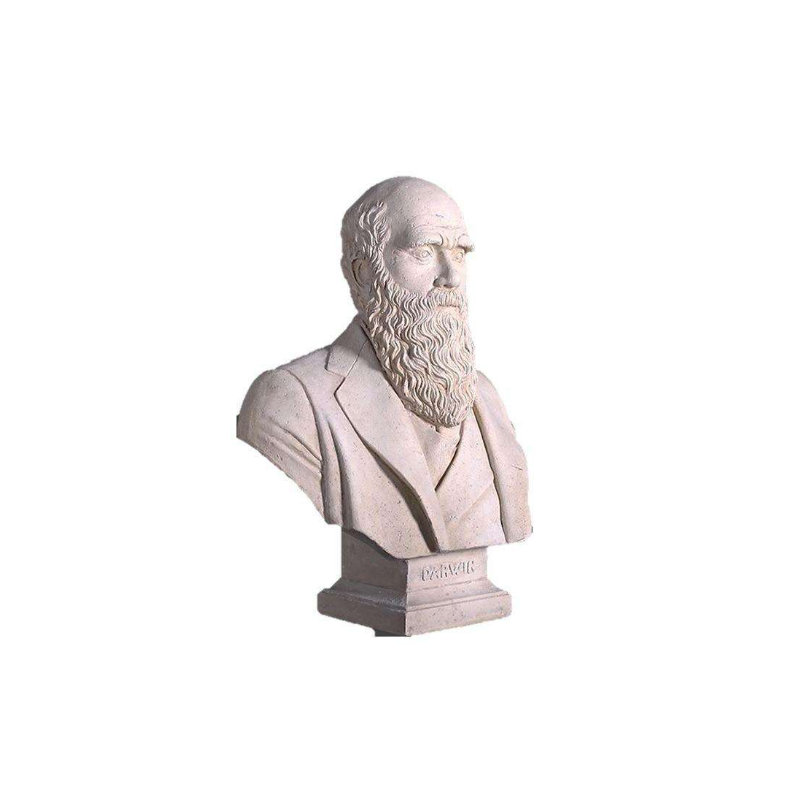 Statue buste Darwin