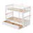 Gerolama  Wood Standard Bunk Bed -1440249455-1458570195