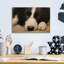 «Border Collie Love» par John Silver-614765560