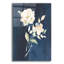 «White Florals Of Summer 4» par Danhui Nai, art mural en verre acrylique
