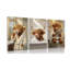3 Piece Wrapped Canvas Print