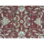 Wool Oriental Area Rug in Rust/Ivory