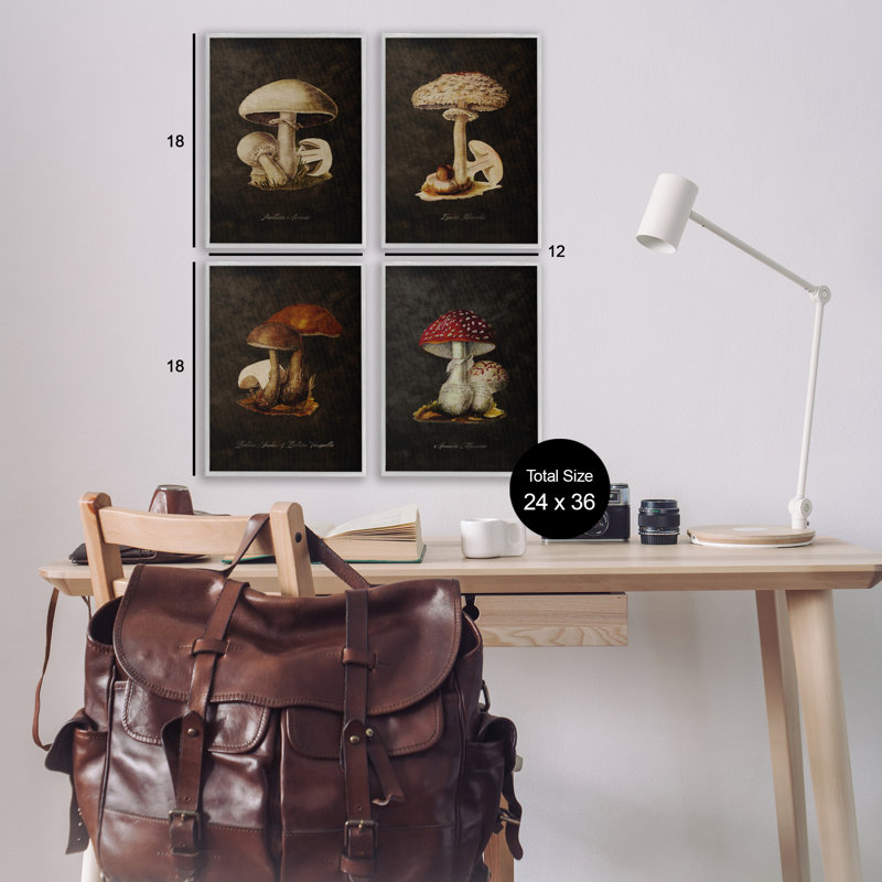  Mushroom Genus Study, ensemble de 4 estampes numériques par Tina Higgins Designs, Inc., Estampe numérique Farmhouse