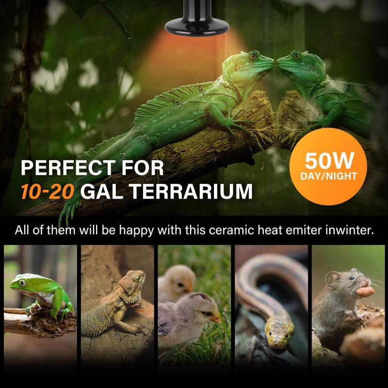 Simple Deluxe 50W Ceramic Heat Emitter Reptile Heat Lamp Bulb No Light Emitting Brooder Coop Heater for Amphibian Pet & Incubating Chicken, 2-Pack