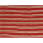 Striped Area Rug in Red