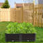 Elevated Planter-1931560936