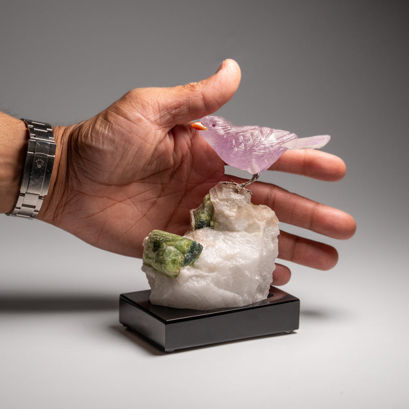Genuine Polished Hand Carved Fluorite Finch On A Green Tourmaline In Quartz Matrix (5.5"H)