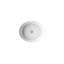Artifacts 21-1/4 In. Oval Undermount Bathroom Sink