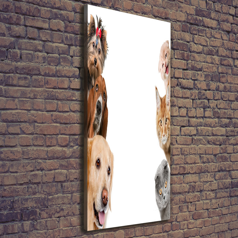 Dogs And Cats - Wrapped Canvas Print