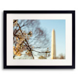 Sunset Bloom Print by Scott Wurzel