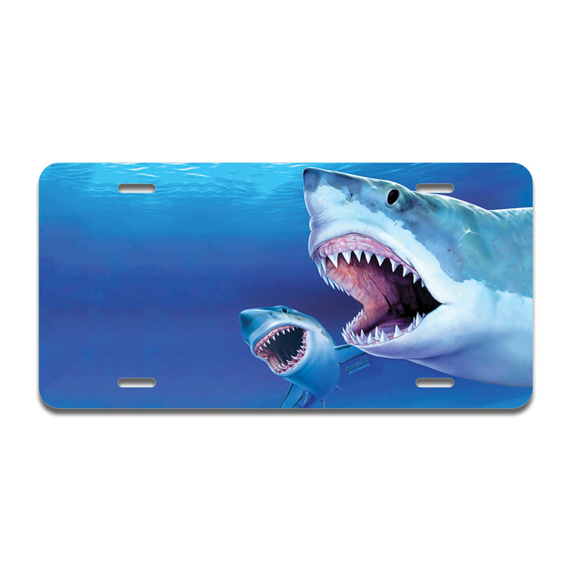 Cadre en aluminium Great White