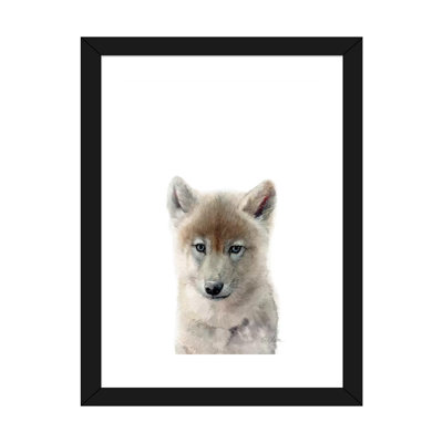 " Baby Wolf "