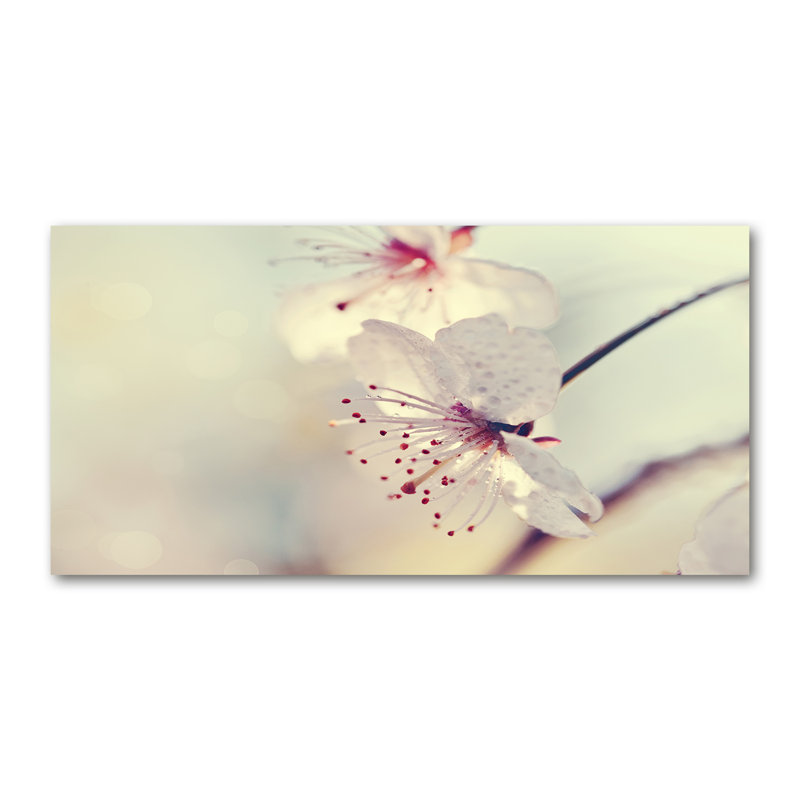 Cherry Blossom - Wrapped Canvas Print, 60cm H x 120cm W