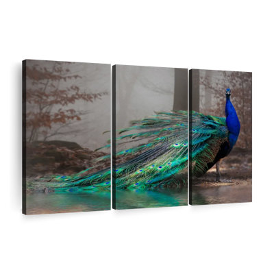 " Elegant Blue Peacock "