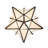 12" Wide Moravian Star Pendant-120147535-9222203