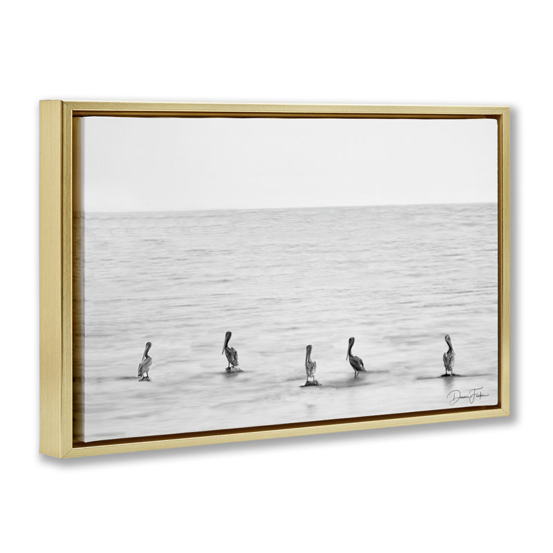 «Pelicans on Shore», toile flottante encadrée par Dennis Frates, Cadre flottant métallique doré, H 21 po x l 31 po