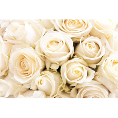 Soft White Roses by Wicki58 - Wrapped Canvas Print