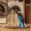  Tapis lavable arc-en-ciel Lorikeet-594048688