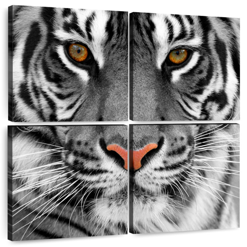 Brampt Staring Tiger, 32" H x 32" W