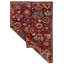 Tapis traditionnel rouge et multicolore 6 x 9 Anatolian