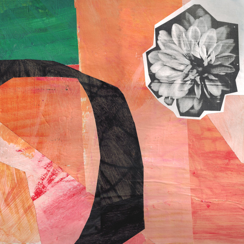 Temo Collage Flower Field VII by Lindsey Newman - Wrapped Canvas Print, 30 cm H x 30 cm W