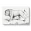 Prowling Lion by Jean Bernard - Wrapped Canvas Print-55322522