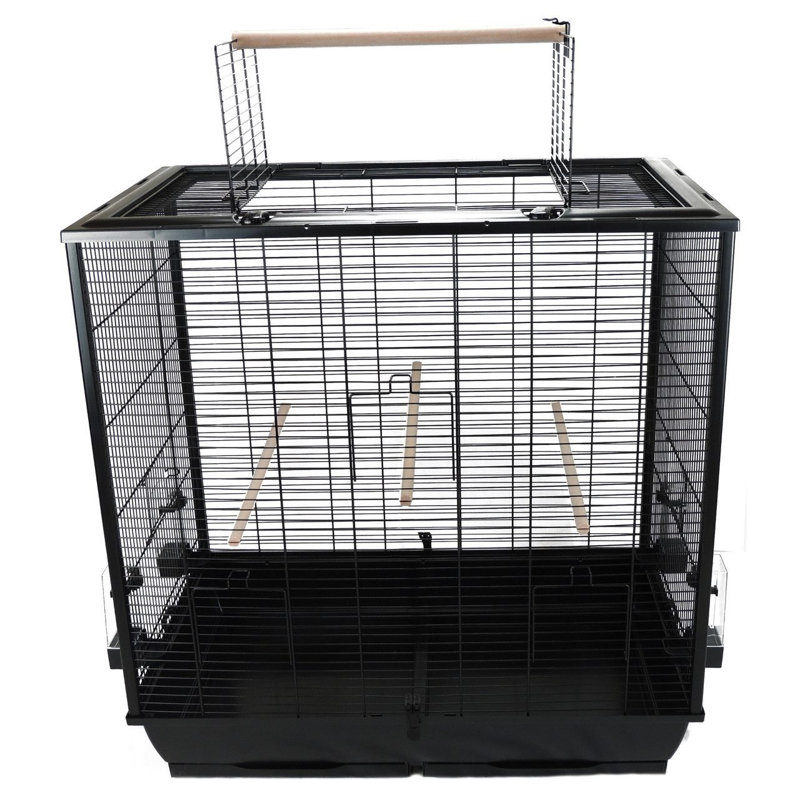 Bird Cage, Black